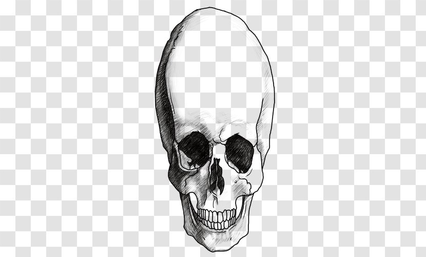 Drawing Skull Headphones /m/02csf White - Monochrome Transparent PNG