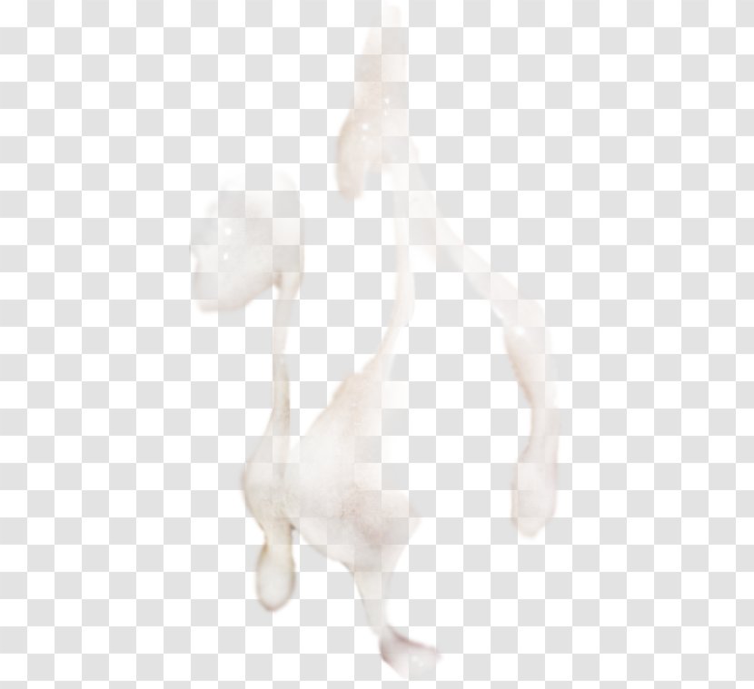 Canidae Dog Figurine Mammal - Carnivoran Transparent PNG