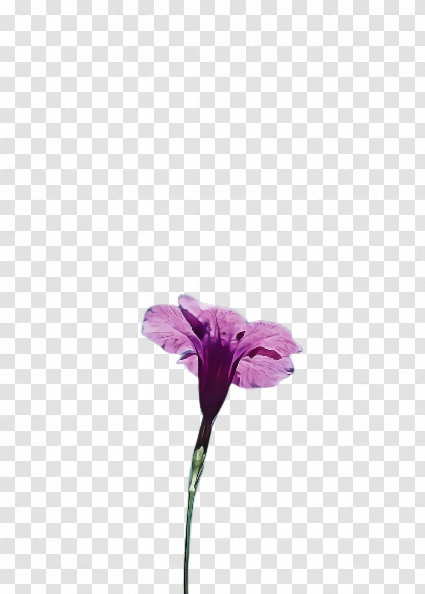 Flower Flowering Plant Violet Purple - Cut Flowers Lilac Transparent PNG