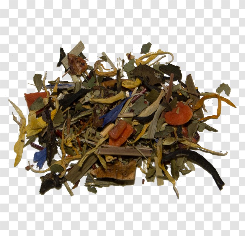 Nilgiri Tea Dianhong Plant - Bancha - Bai Mudan Transparent PNG