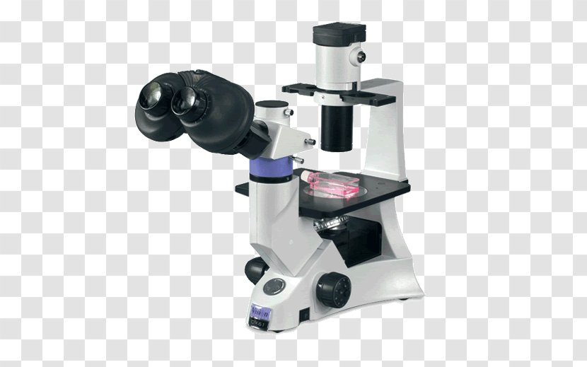 Inverted Microscope Optical Fluorescence Digital - Cell Culture Transparent PNG