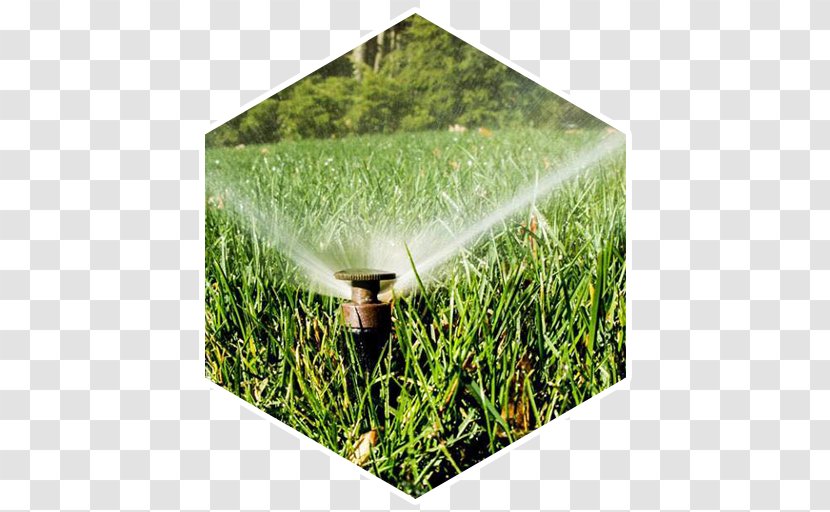 Irrigation Sprinkler Crop Lawn Grasses - Field Transparent PNG