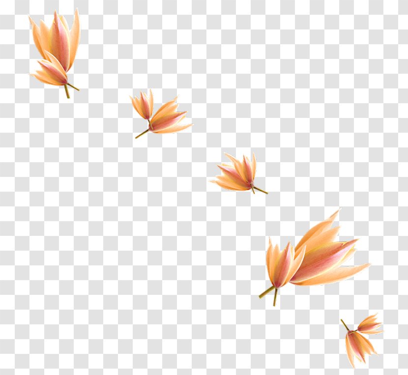 Clip Art - Motif - Flowering Plant Transparent PNG