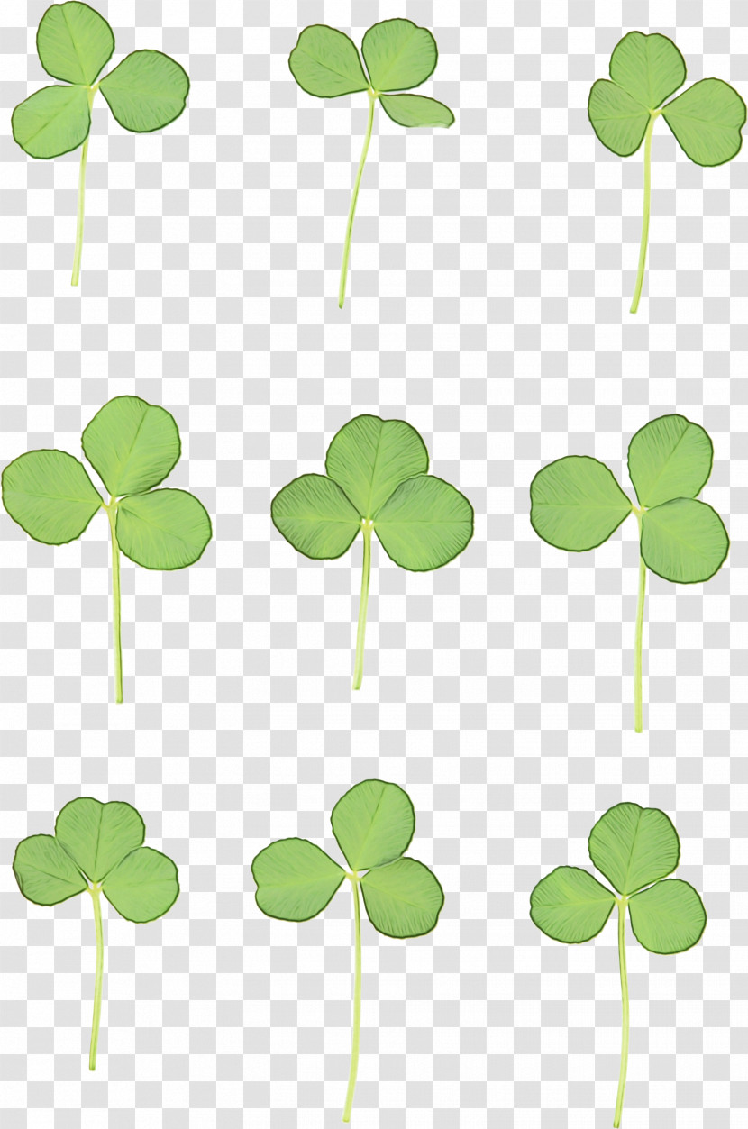 Shamrock Transparent PNG