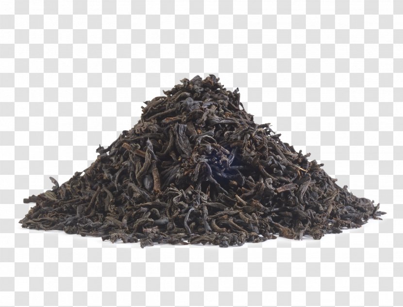 Lapsang Souchong Darjeeling White Tea Keemun Nilgiri - Maofeng - High Transparent PNG