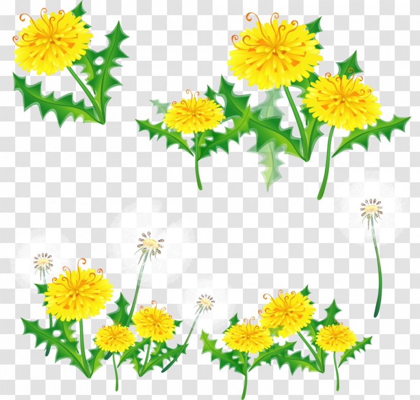 Border Flowers Clip Art - Sunflower - Wildflower Transparent PNG