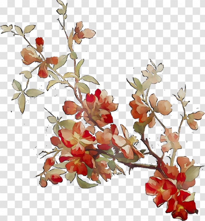 Cut Flowers Floral Design Cherry Blossom ST.AU.150 MIN.V.UNC.NR AD Transparent PNG