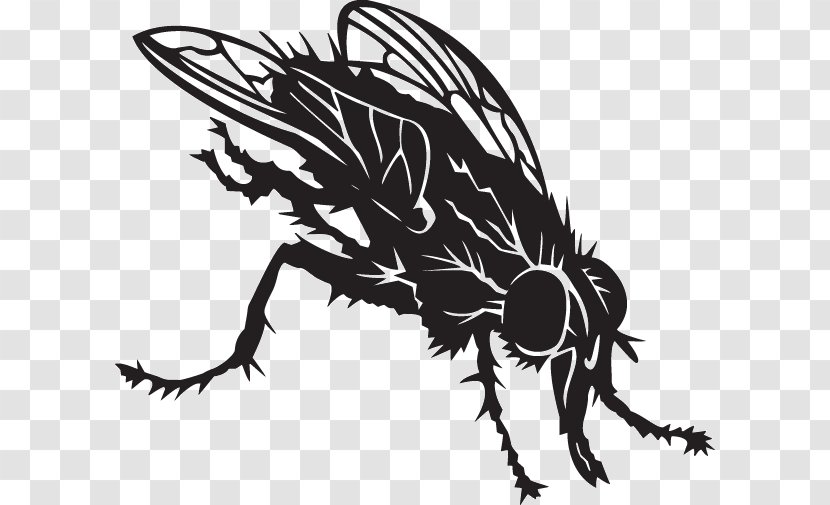 Honey Bee Drawing Line Art Clip - Lawn Sign - HouseFly Transparent PNG
