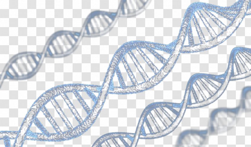 DNA Nucleic Acid Double Helix Molecule - Flower - Technology Background Transparent PNG
