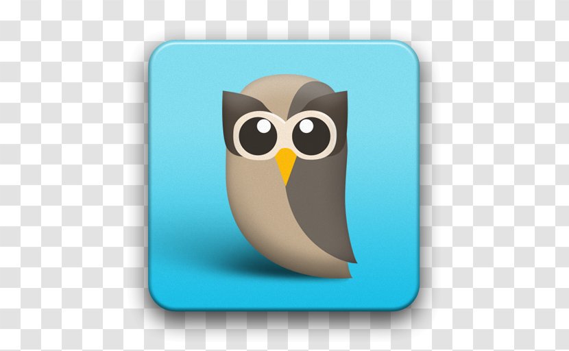 Social Media Hootsuite Foursquare Network - Bird Of Prey Transparent PNG