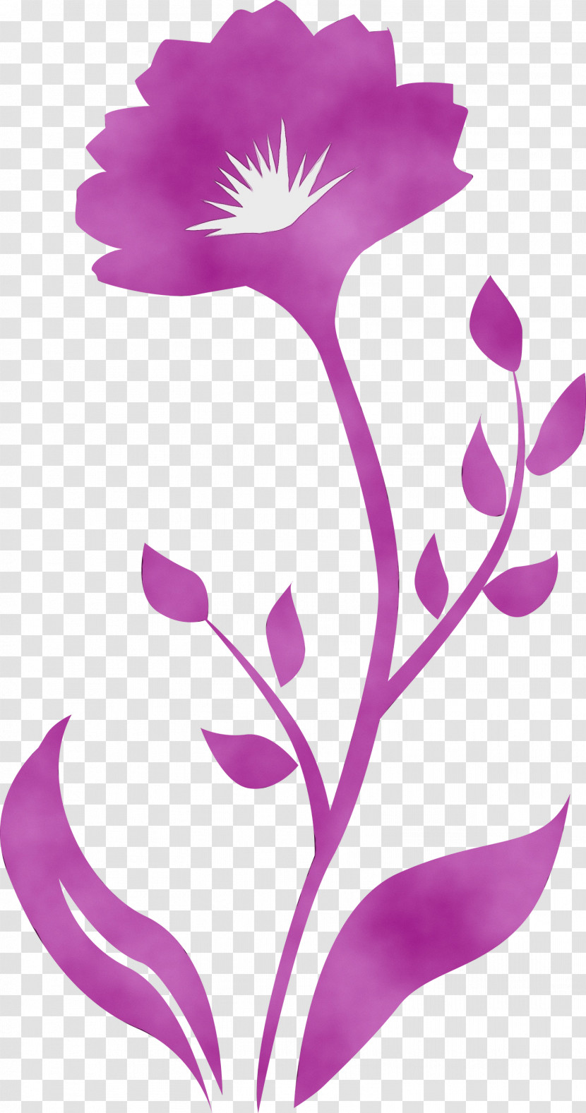 Violet Pedicel Purple Flower Pink Transparent PNG