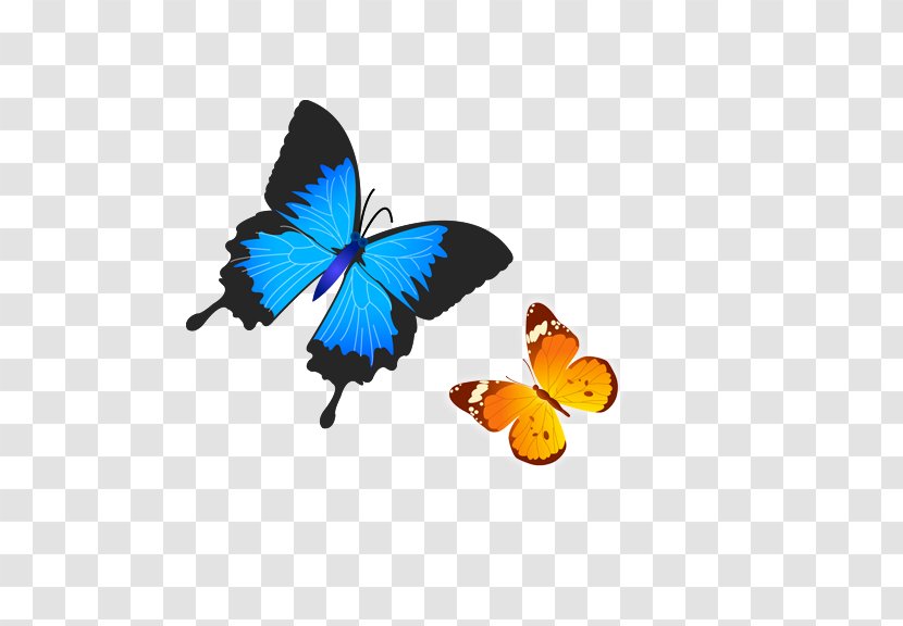 Butterfly - Moths And Butterflies - Flying Transparent PNG