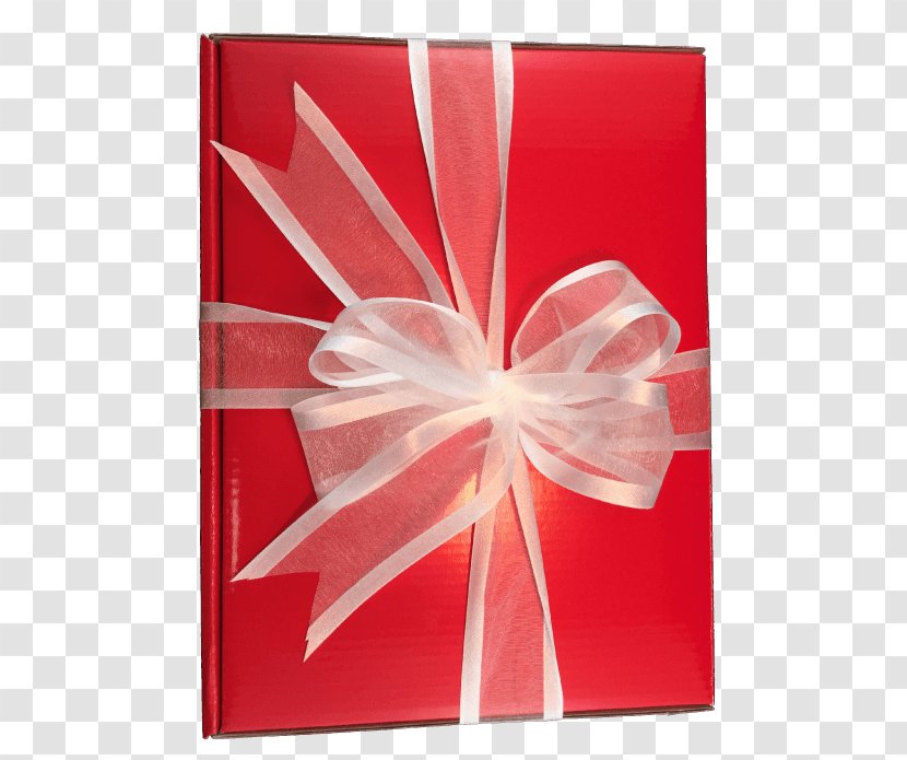 Christmas Gift Tree Boxing Day - Red Bounding Box Transparent PNG