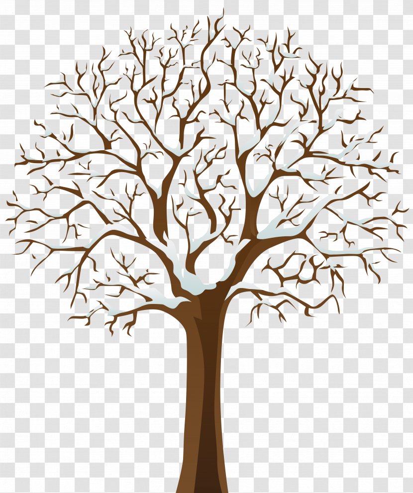 Tree Winter Clip Art - Leaf - Snowy Transparent Image Transparent PNG