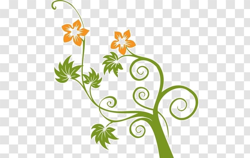 Vector Graphics Clip Art Flower Image - Floristry Transparent PNG
