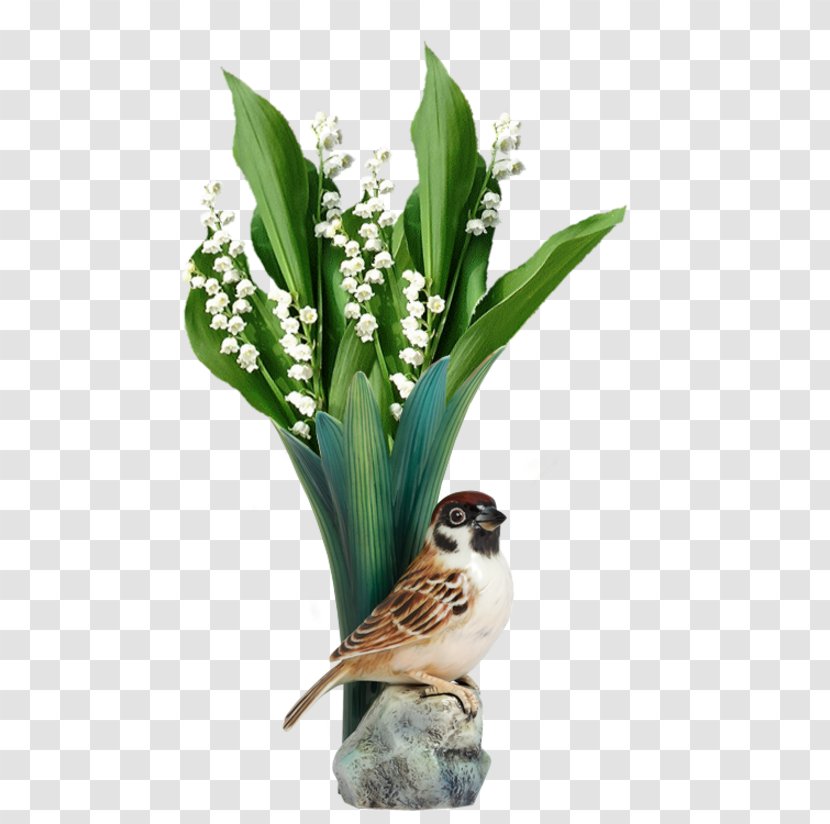 Lily Of The Valley May 1 Happiness Amulet Luck - Lilium Transparent PNG