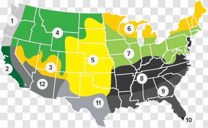 Education In The United States Map Educational Stage - Grading - Seed Transparent PNG