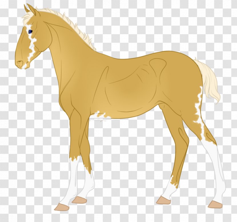 Foal Mustang Mare Stallion Rein - Pony - Elk Ridge Transparent PNG
