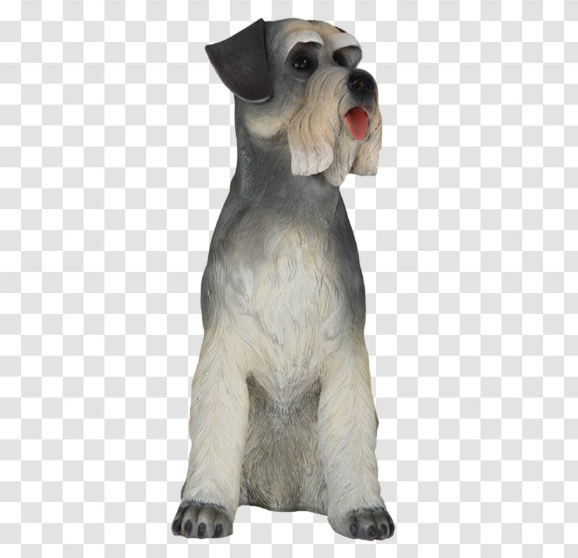 Miniature Schnauzer Dog Breed Companion Snout Transparent PNG