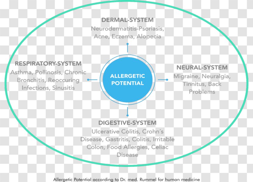 Food Allergy Immune System Bioresonansterapi Asthma - Autonomic Nervous - What Causes Ear Eczema Transparent PNG