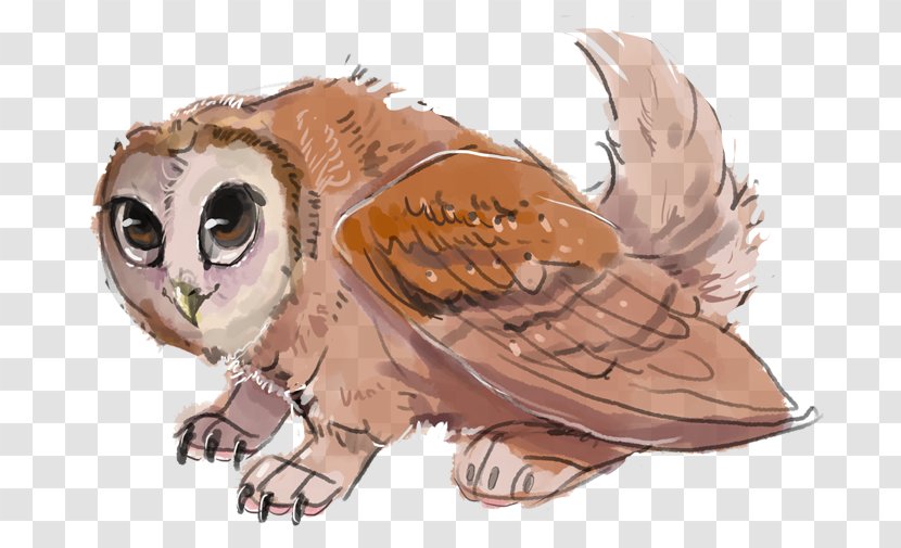 Owl Beak Bird Feather Cartoon - Fiction Transparent PNG