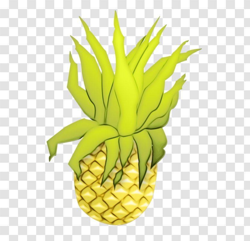 Pineapple Cartoon Image Illustration - Poales - Leaf Transparent PNG