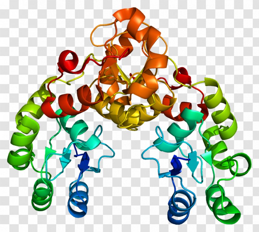 MDC1 ATM Serine/threonine Kinase Protein H2AFX MRN Complex - Watercolor - Silhouette Transparent PNG