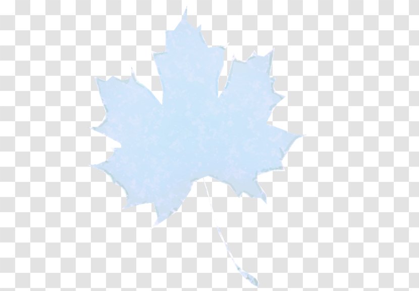 Maple Leaf - Holly Transparent PNG