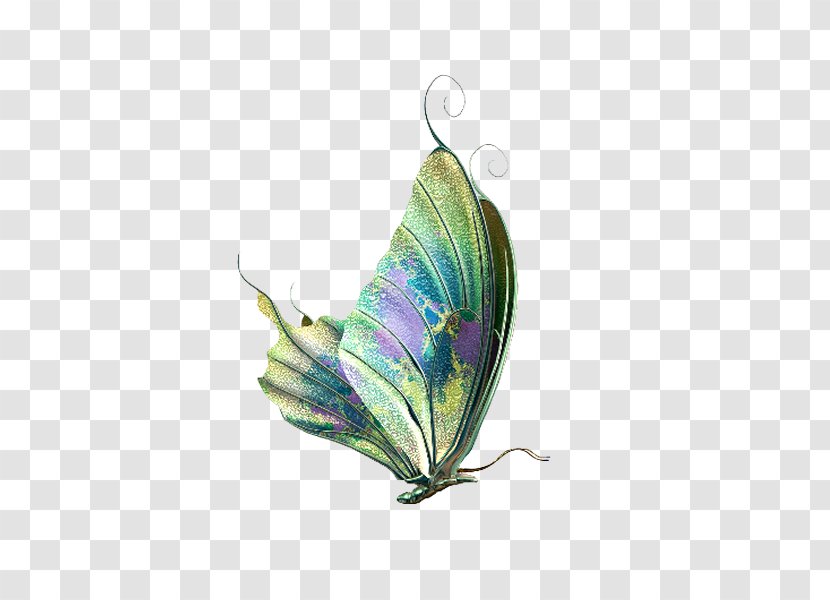 Butterfly Insect Desktop Wallpaper Clip Art - Moths And Butterflies Transparent PNG
