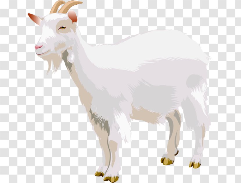 Boer Goat Sheep Three Billy Goats Gruff Clip Art - Horn Transparent PNG