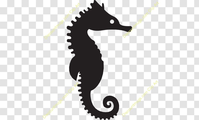 New Holland Seahorse Silhouette Clip Art - Line Transparent PNG