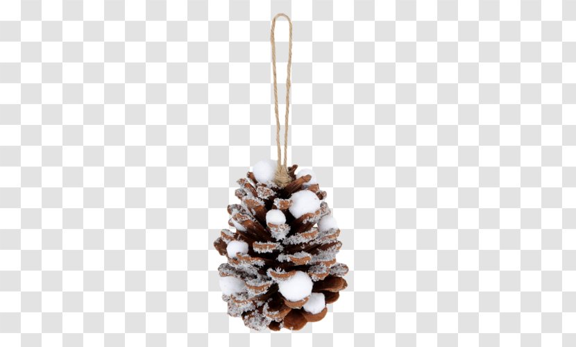 Pine Conifer Cone Christmas Ornament Fir - Snowflake Transparent PNG