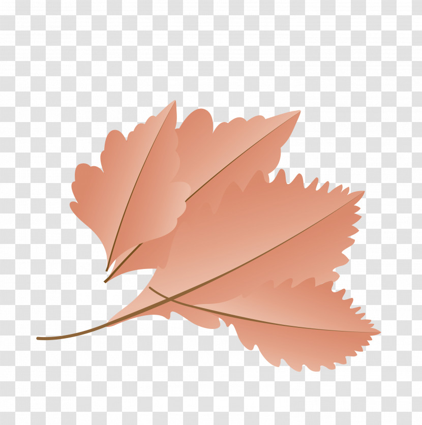 Maple Leaf Transparent PNG