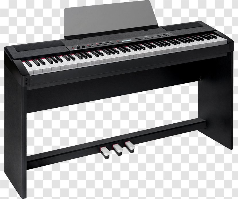 Digital Piano Roland Corporation Stage Electric - Tree Transparent PNG