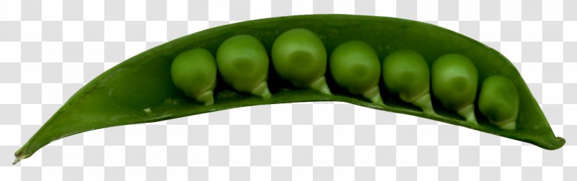 Pea - Plant - Peas In A Pod Transparent PNG
