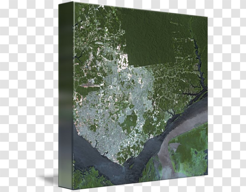 Manaus Water Biome Picture Frames Map - Frame Transparent PNG
