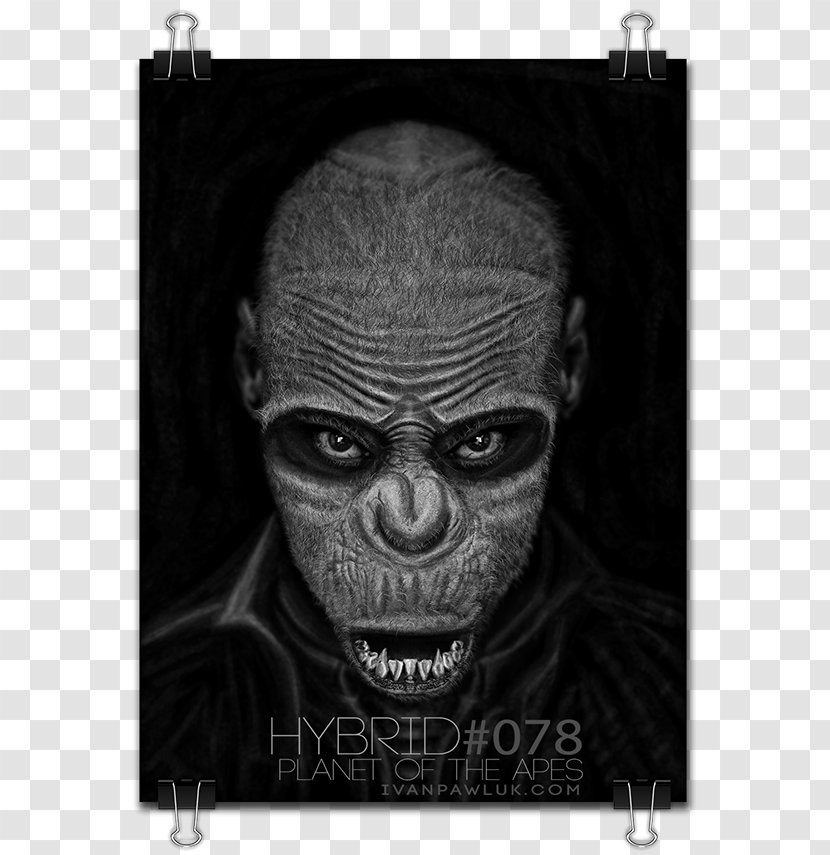 Skull Character Horror Snout White - Fictional - Planet Of The Apes Transparent PNG