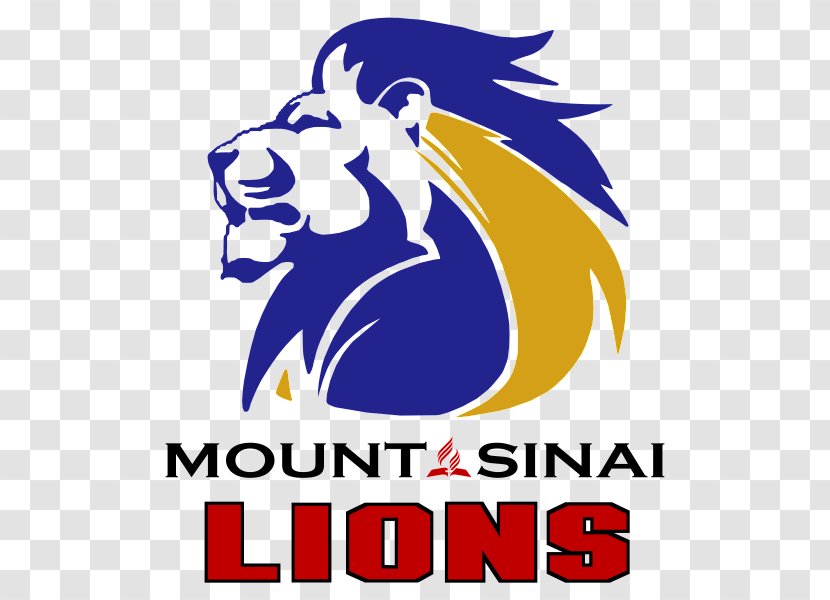 Golden Lions Super Rugby Brumbies Detroit - Area - Mount Sinai Transparent PNG