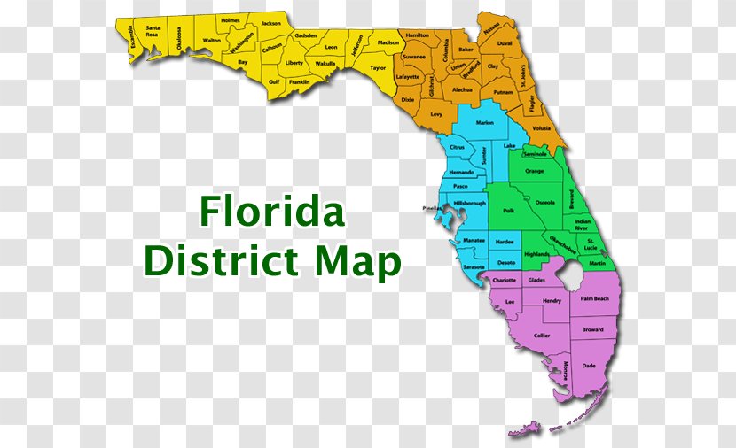 Florida's 10th Congressional District School Districts Education Transparent PNG
