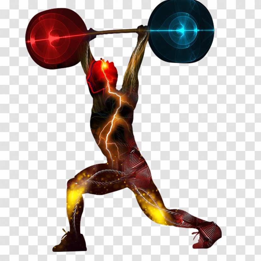 Physical Fitness Olympic Weightlifting Weight Training Centre Barbell - Muscle Transparent PNG