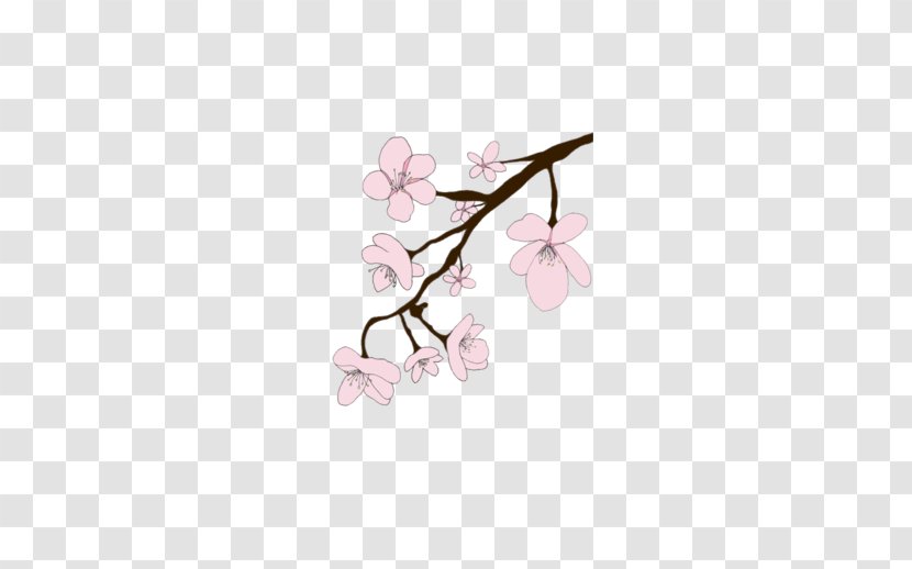 T-shirt Cherry Blossom Flower - Cartoon Transparent PNG