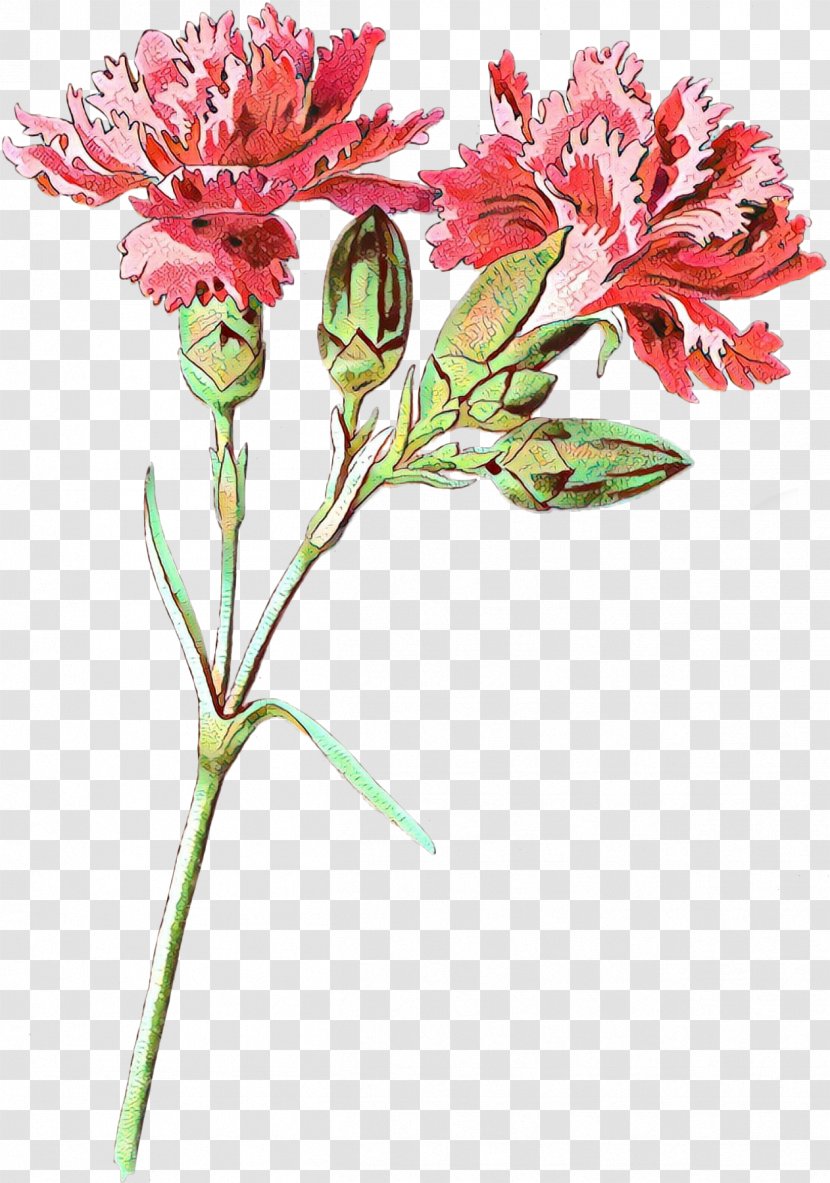 Lily Flower Cartoon - Floral Design - Perennial Plant Stem Transparent PNG