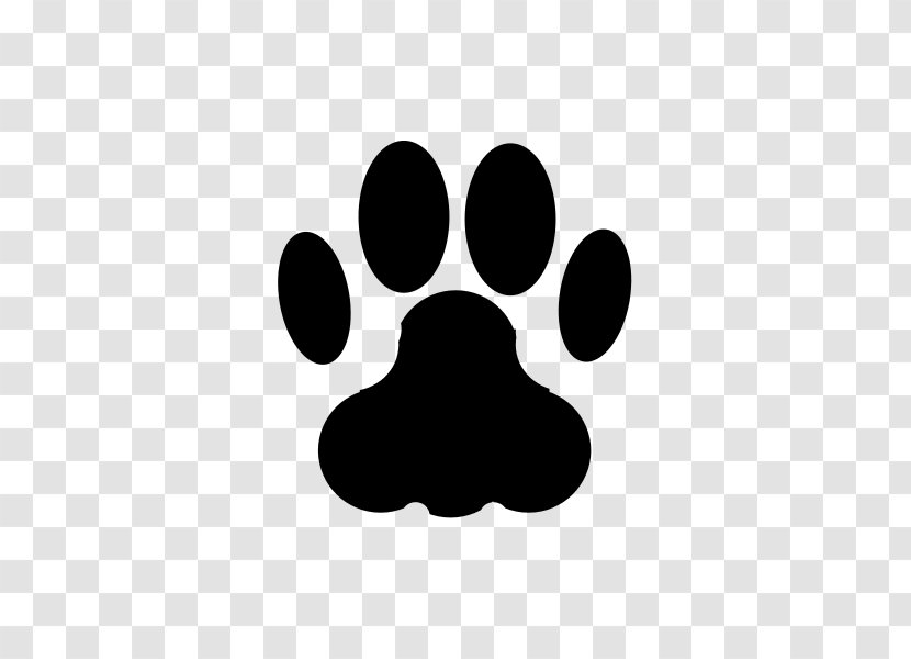 Cat Dog Kitten Puppy Animal Track Transparent PNG