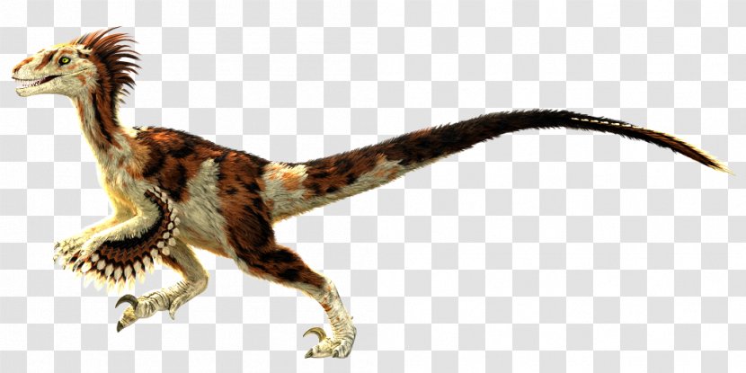 Velociraptor Primal Carnage: Extinction Feathered Dinosaur - Tail - Feather Transparent PNG