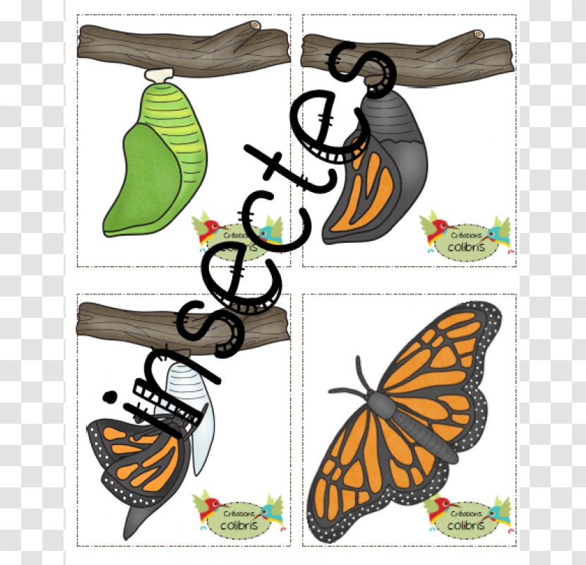 Monarch Butterfly Brush-footed Butterflies Clip Art Shoe - Tiger Milkweed Transparent PNG