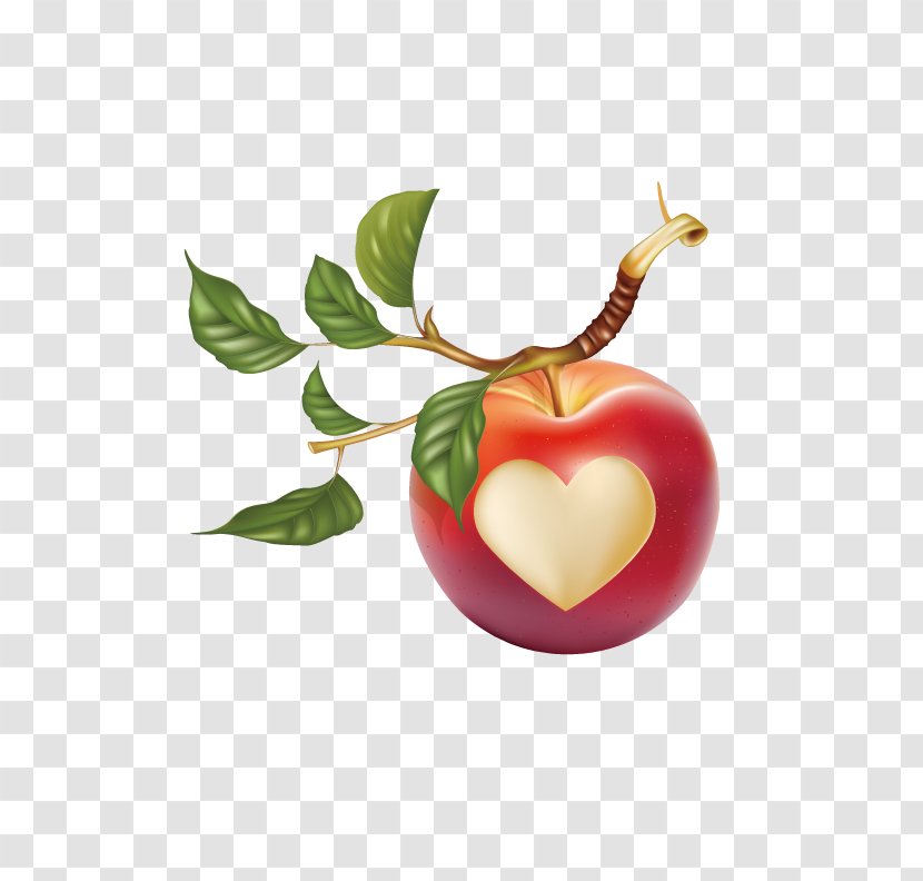 Apple Leaf Fruit Clip Art - Free Content - Heart Transparent PNG