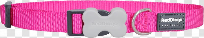Dog Collar Dingo Puppy - Purple - Red Transparent PNG