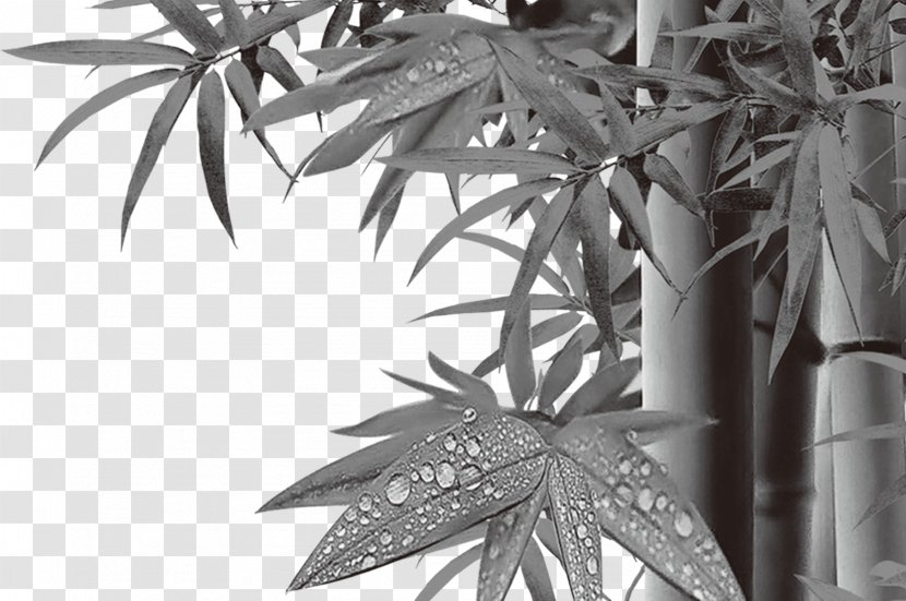 Bamboo Bambusa Oldhamii - Raster Graphics Transparent PNG