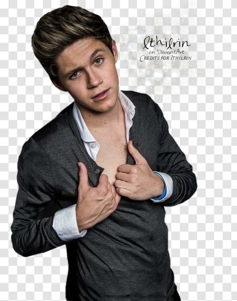 Niall Horan Take Me Home Tour One Direction - Heart Transparent PNG