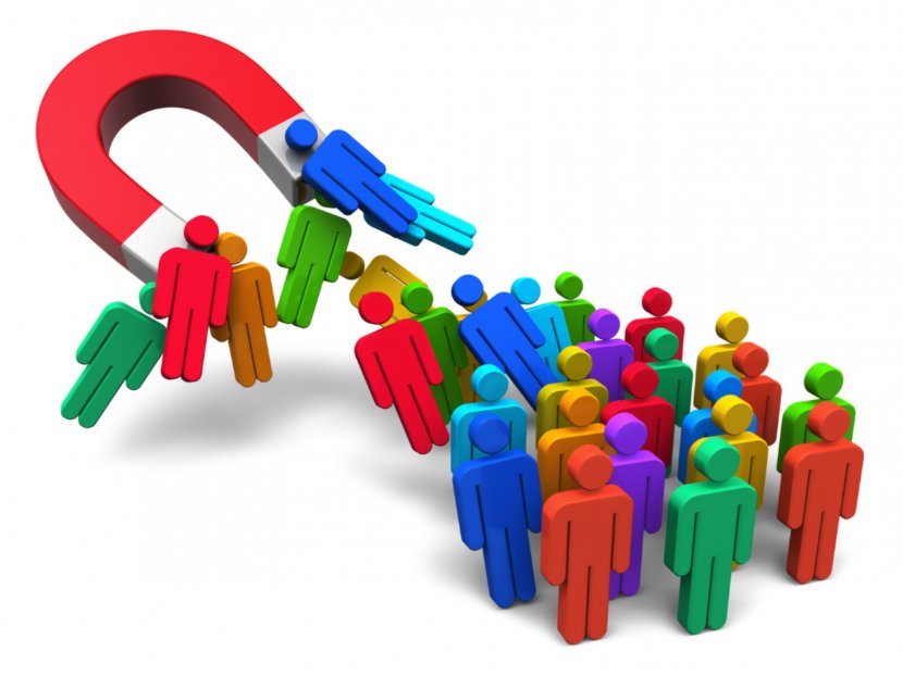 Business Human Resources Recruitment Management Skill - Marketing - Magnet Transparent PNG